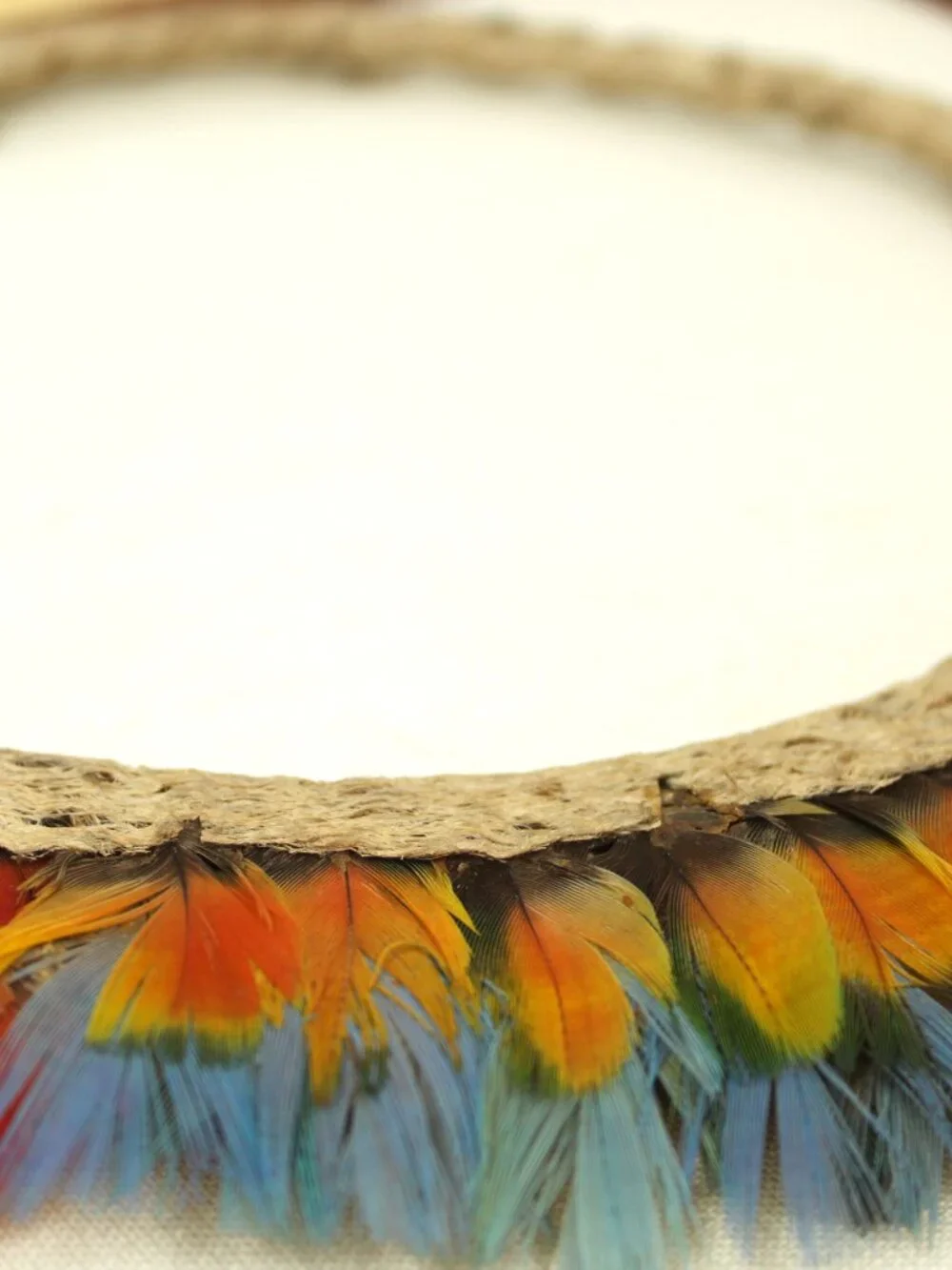 Feather Head-Ring or Ceremonial Ornament made of cane by an Indigenous Amazonian